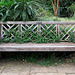 IMG 3451-001-Bench with Vines