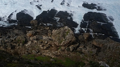 Cape du Couedic... SEALS!