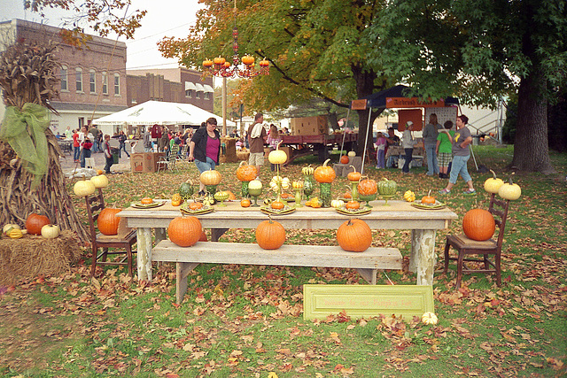 Pumpkin Fest