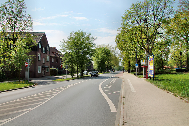 Westerholter Straße (Herten-Langenbochum) / 22.04.2018