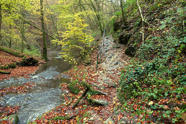 Ehrbachklamm & Schöneckschleife 020