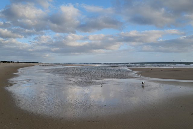 Monte Gordo beach, paradise in winter