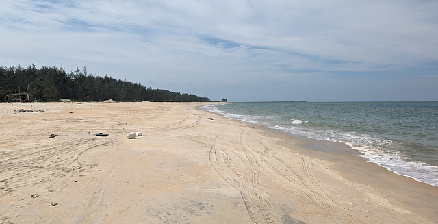 Verschmähter strand / Verwaarloosd strand