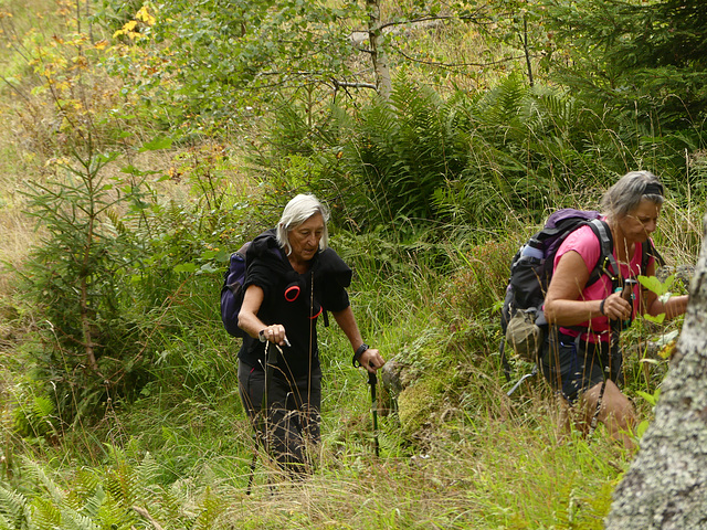 20250906 -12 Saint Colomban des Villards (Savoie) (108) 20250906 -12 Saint Colomban des Villards (Savoie) (108)