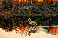 Roquetas de Mar, poco después del amanecer Roquetas de Mar, poco después del amanecer