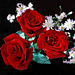 Three roses