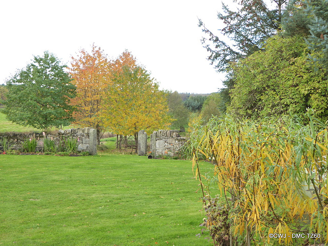 Autumn Colours by the Pond