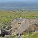 Dartmoor National Park Landscape