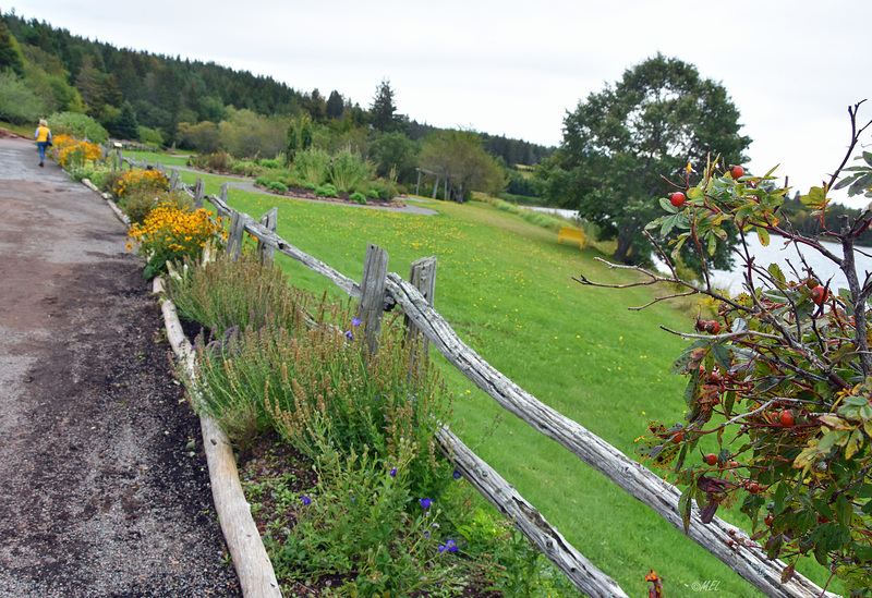 Der Zaun bei Green Gables