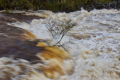 From the bridge at Linton