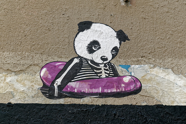 Le panda (3)
