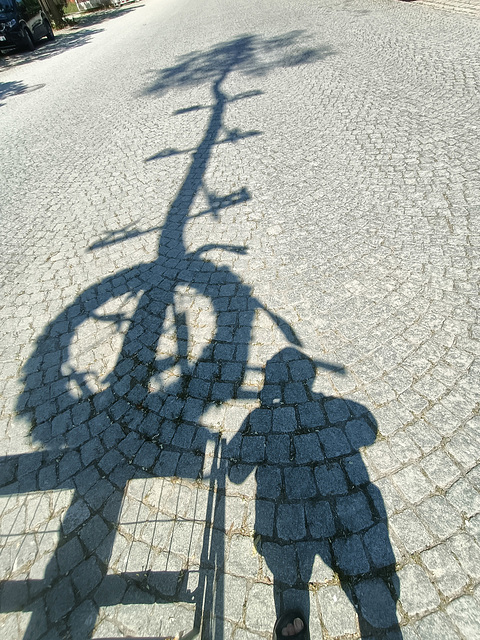 selfie mit Maibaum