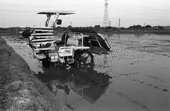 Rice seedling transplanter