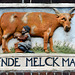 Monnickendam 2014 – Ynde Melckman