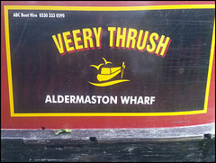 Veery Thrush