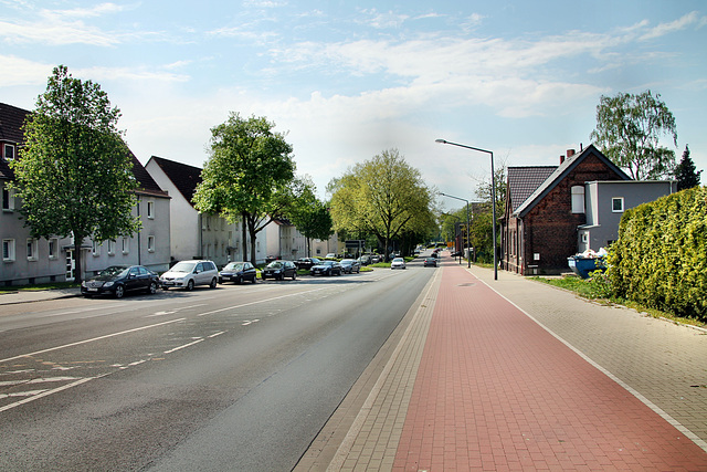 Westerholter Straße (Herten-Langenbochum) / 22.04.2018