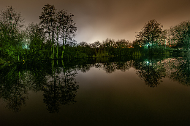 Pond at night