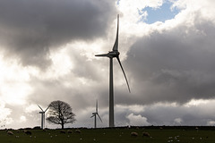 Royd Moor wind farm
