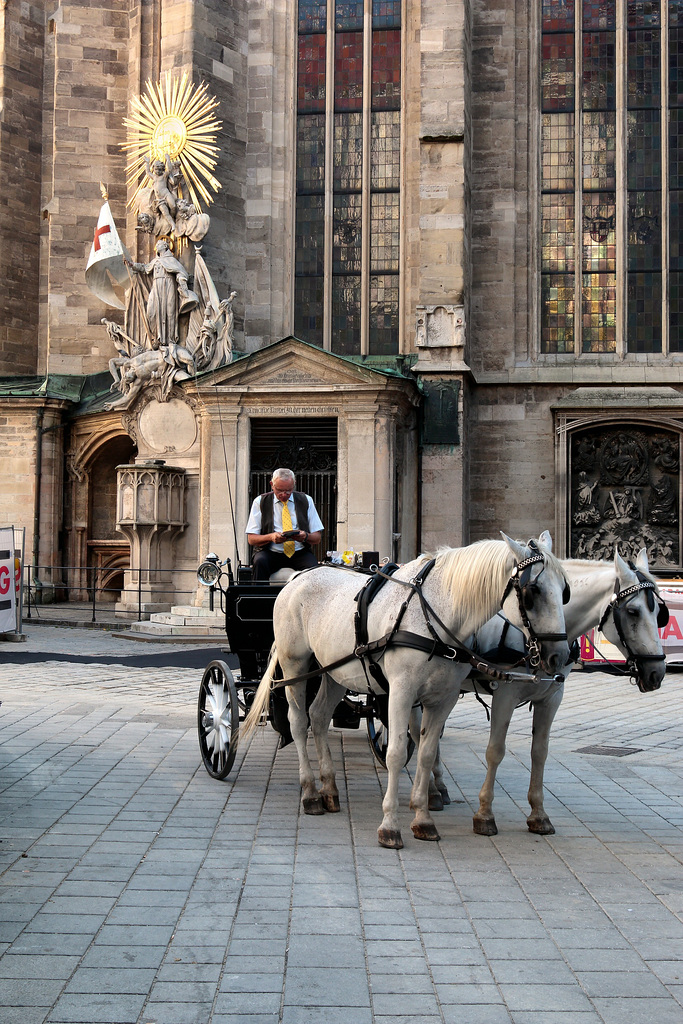 Wien - Warten auf Kundschaft (2)