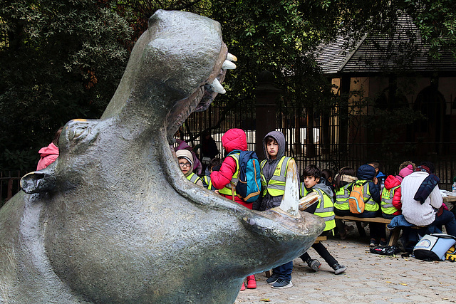 Un drame épouvantable . Un hippopotame n'a fait qu'une bouchée de ce groupe d'enfants , dans l'indifférence générale .