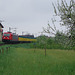 BÖ0007984
