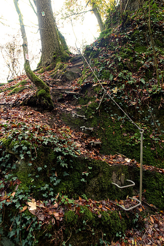 Ehrbachklamm & Schöneckschleife 026