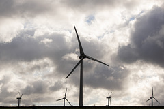 Royd Moor wind farm