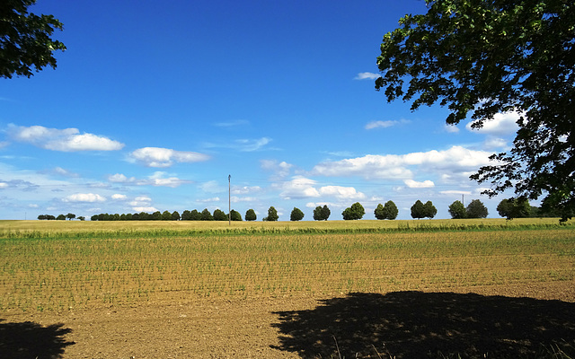 Oldenburg Deutschland