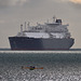 EOS R6m2 Peter Harriman 09 02 44 5119 ventureCreole dpp EOS R6m2 Peter Harriman 09 02 44 5119 ventureCreole dpp