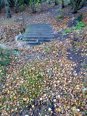 Autumn Colours by the Pond