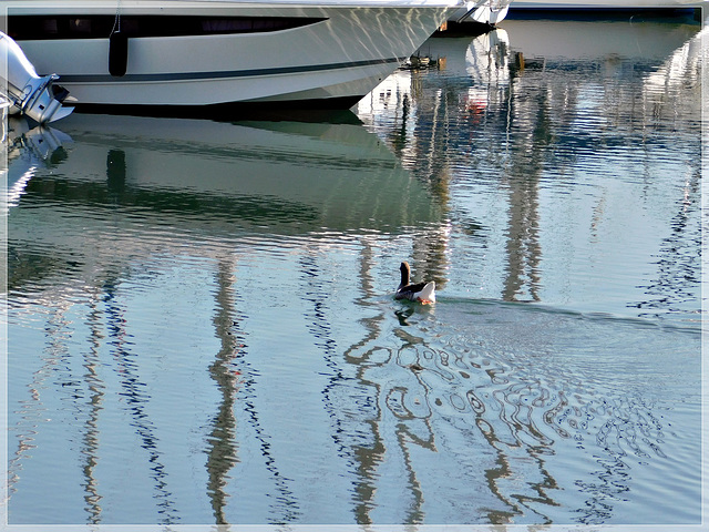 Reflets au port de Plouer sur Rance (22)