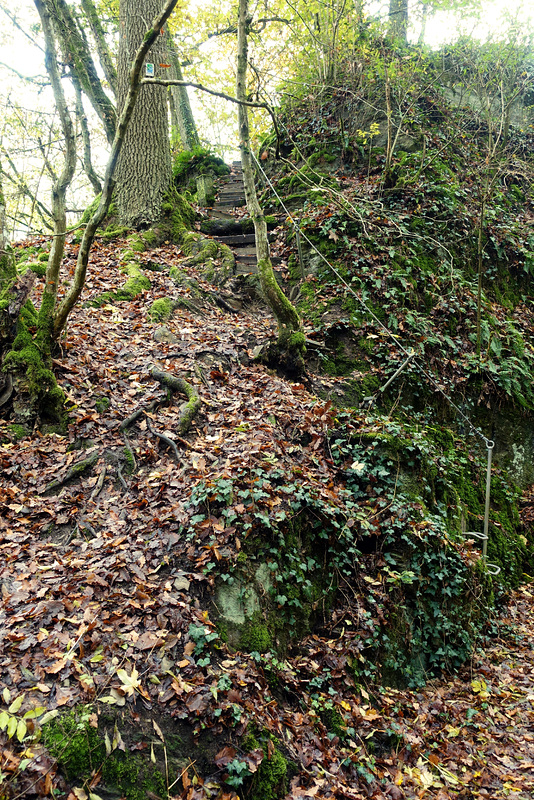 Ehrbachklamm & Schöneckschleife 028
