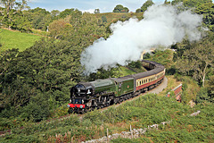 Peppercorn class A1 60163 TORNADO climbing past Darnholme with the 09.31 Grosmont - Pickering service NYMR 25th September 2021.