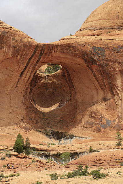 Bowtie Arch