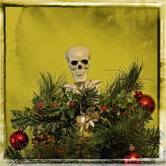 An Alternative Christmas Tree