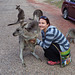 lovely kangaroos