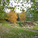 Autumn Colours by the Pond