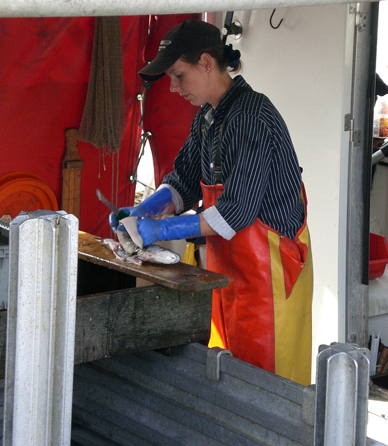 Frischer Fisch, direkt vom Boot