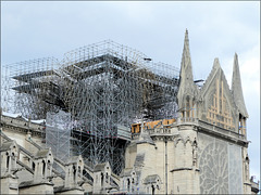 Paris (75) 21 juin 2019. La Cathédrale Notre-Dame...