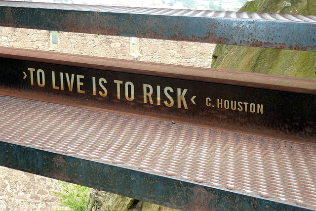To Live is to Risk