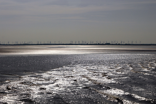 Leaving the harbour