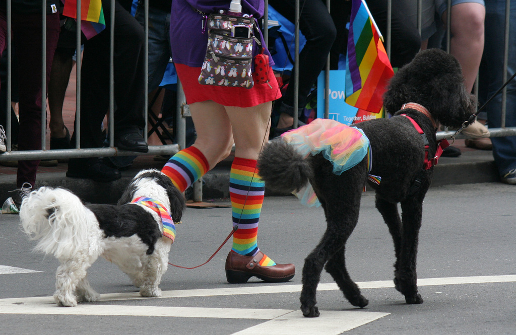 San Francisco Pride Parade 2015 (6383)