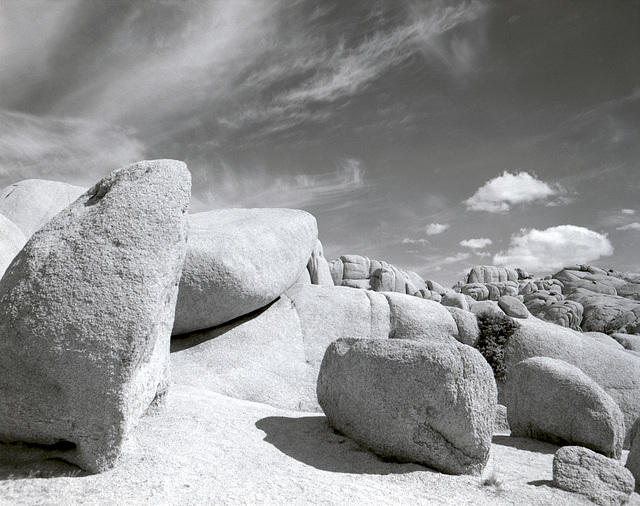 Jumbo Rocks Galore