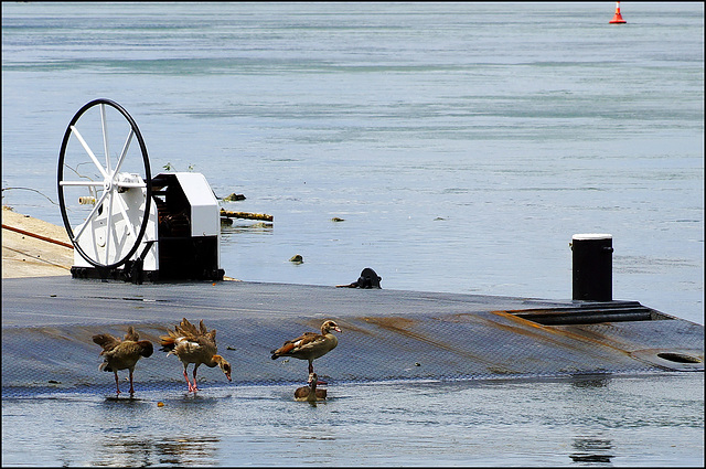 Waiting for the Ferry:)