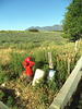 Red hydrant in the middle of nowhere