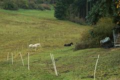 Ehrbachklamm & Schöneckschleife 035