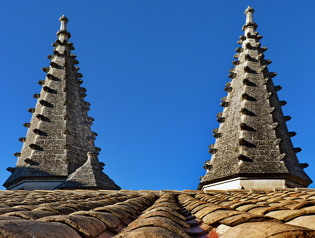 Avignon :  il tetto sopra l'ingresso principale e le due torri piramidali
