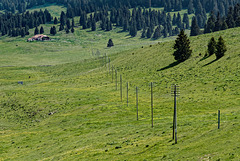 Au col du Marchairuz