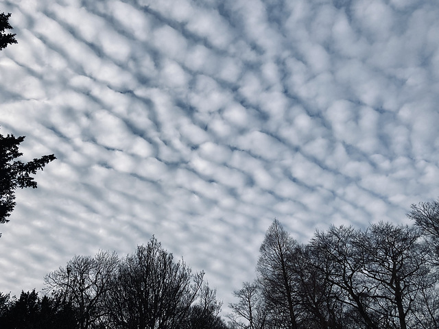 Late afternoon sky