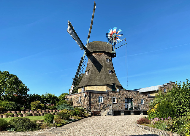 Windmühle Auguste in Groß Wittensee  (pip)